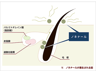 ̌납L𔭂邵